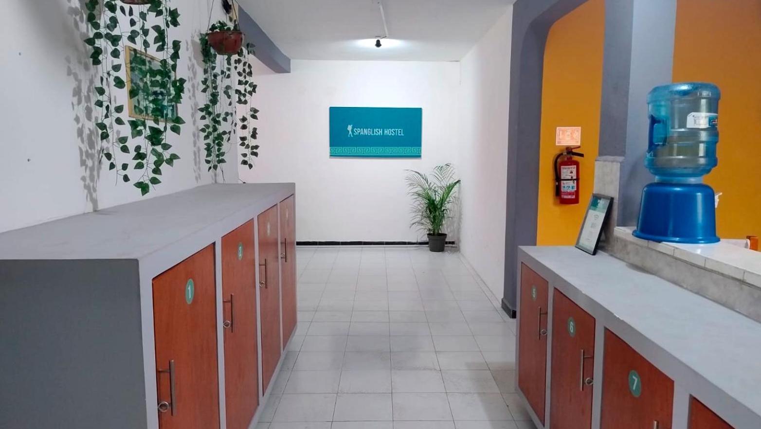 Spanglish Hostel Valladolid  Ngoại thất bức ảnh