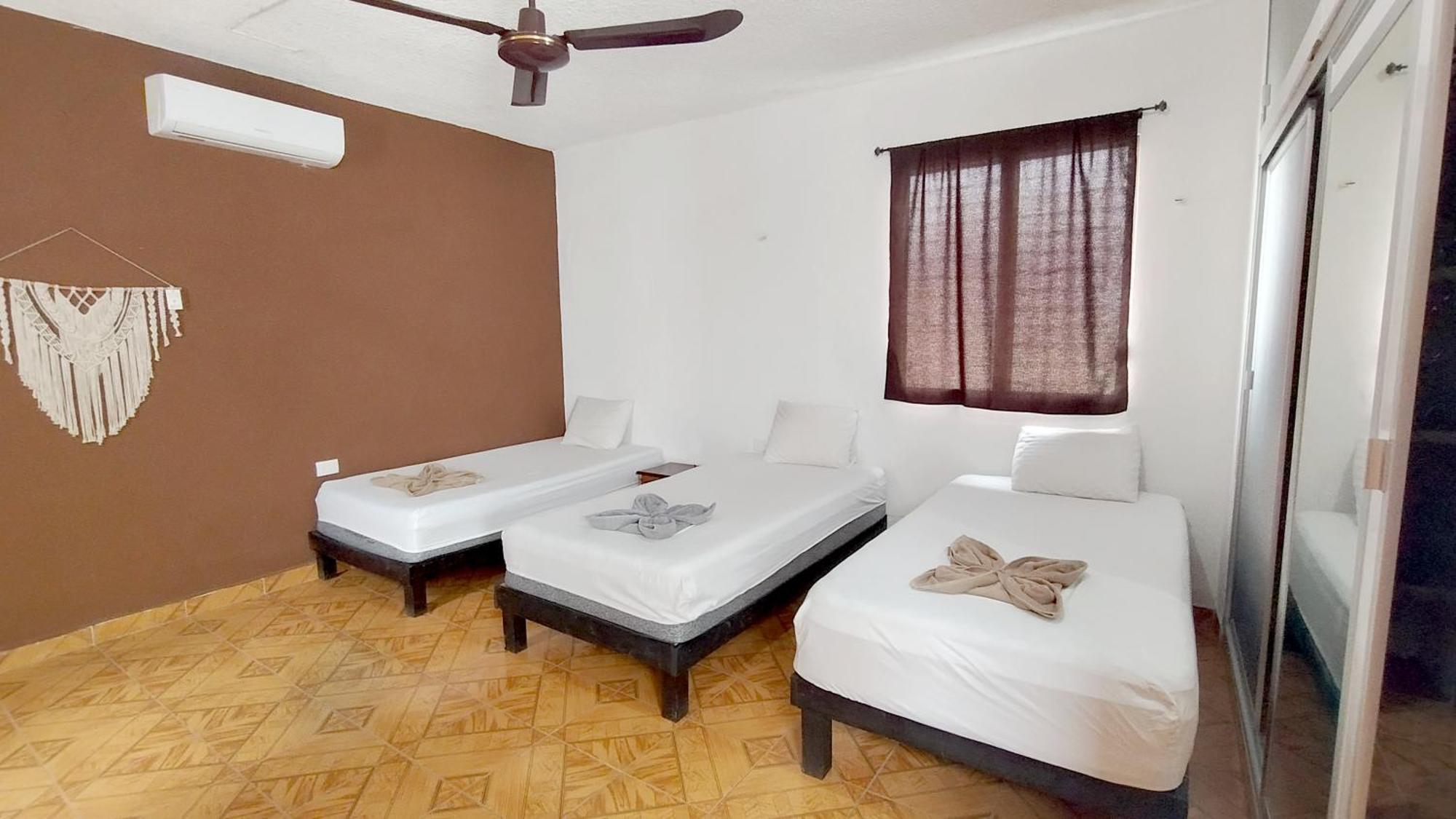 Spanglish Hostel Valladolid  Ngoại thất bức ảnh